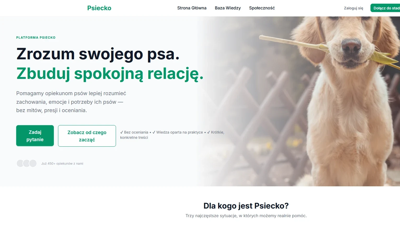 Strona internetowa Psiecko.pl – realizacja PT Studio